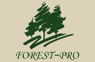 The Forest~Pro Logo